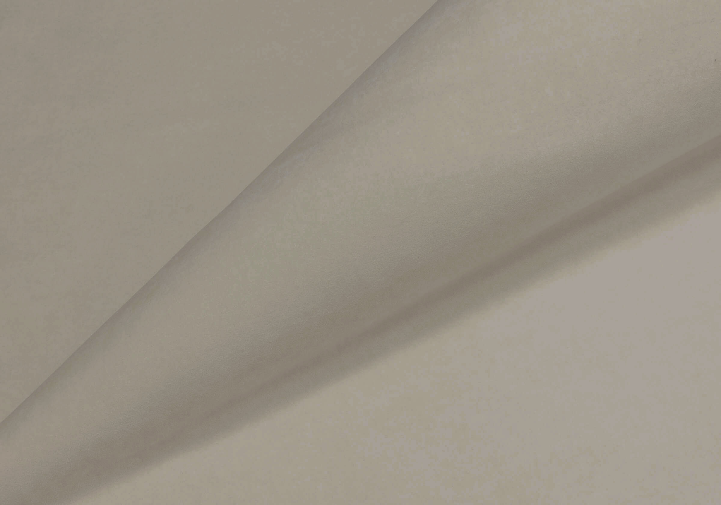 Тедди бежевый