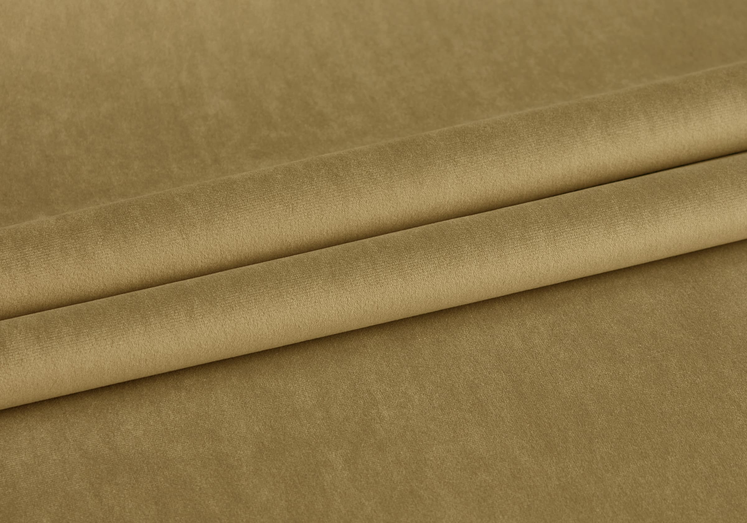 Эвита горчичный